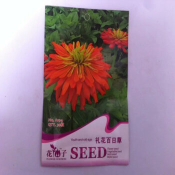 室内花卉种子 观花种子 百日草种子 50粒 切花百日草【图片 价格 品牌 报价】-京东