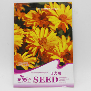 系列日光菊种子_/家居盆栽花草种子 易种 日光菊 约50粒 