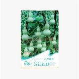 【唯友 花卉种子 宝葫芦种子 盆栽 花草 观赏葫芦 种子 四季播 阳台易种 小亚葫芦和花仙子花仙子 粉黛太阳花种子哪个好】唯友 花卉种子 宝葫芦种子 盆栽 花草 观赏葫芦 种子 四季播 阳台易种 小亚葫芦和花仙子花仙子 粉黛太阳花种子有什么区别-商品比较-
