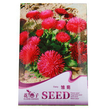 【雏菊盆栽】最新最全雏菊盆栽 产品参考信息
