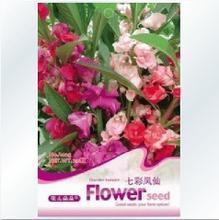 【七色花种子】最新最全七色花种子 产品参考信息