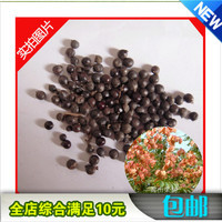 新采的林木树-京栾树种子 20元/斤新采的林木树种 栾树种子 黄山栾种子 北京栾树种子 20元价格比较,麦尔网购导航,网购宝搜你实惠