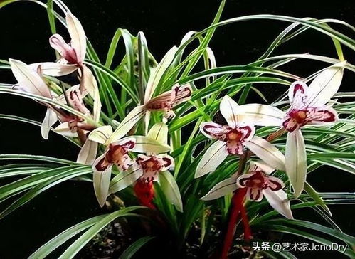 曾经火极一时,后来跌落神坛的七大商品,你都买过哪几种