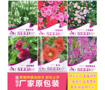 蜀葵花种子产品信息