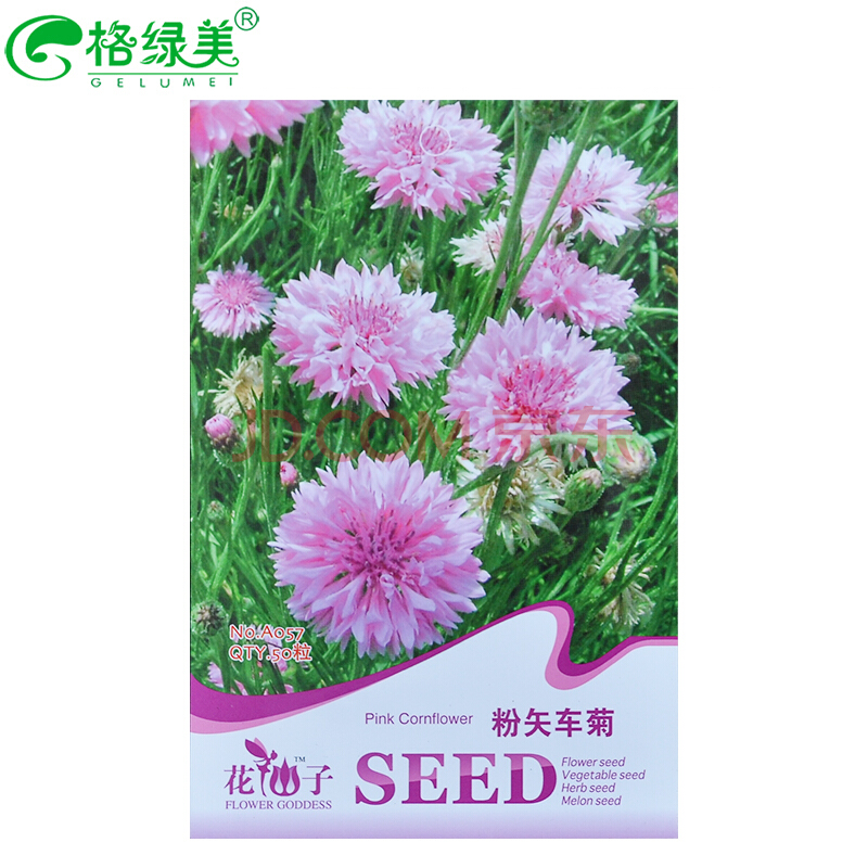 车矢菊 4种品种类型选择 花卉种子阳台盆栽园艺休闲产品 精美彩色包装 2.粉矢车菊 约50粒