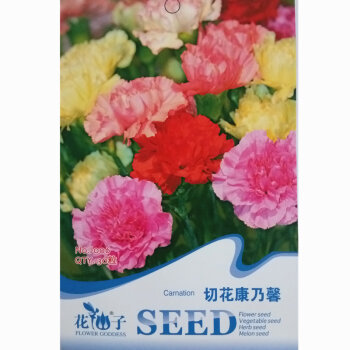 颢天 花卉种子 盆栽 切花康乃馨种子 室内四季播种约30粒【图片 价格 品牌 报价】-京东