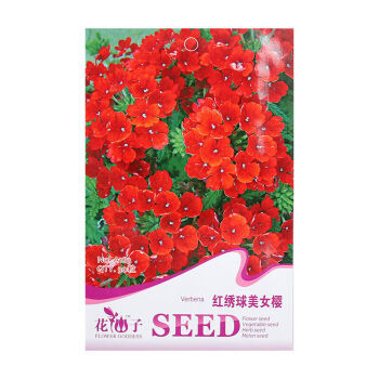 阳台易种室内盆栽红绣球加拿大细叶美女樱花卉种子彩包包装 红绣球美女樱【图片 价格 品牌 报价】-京东