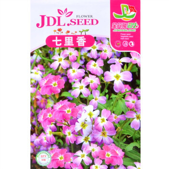 乐家园艺 七里香种子 花卉种子 约40粒【图片 价格 品牌 报价】-京东