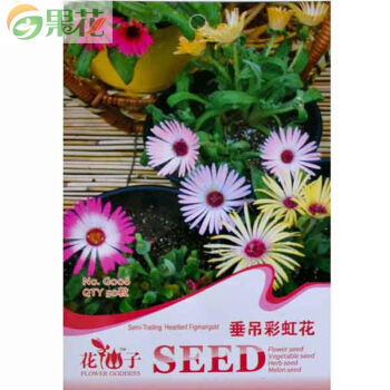 果花 花卉种子 垂吊彩虹花种子 庭院植物 阳台种植 约50粒【图片 价格 品牌 报价】-京东
