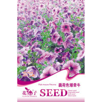 我要发芽 花卉种子 藕荷色矮牵牛种子 牵牛花喇叭花 四季种植盆栽花期长30粒/包【报价大全、价格、商铺】-苏宁易购开放平台