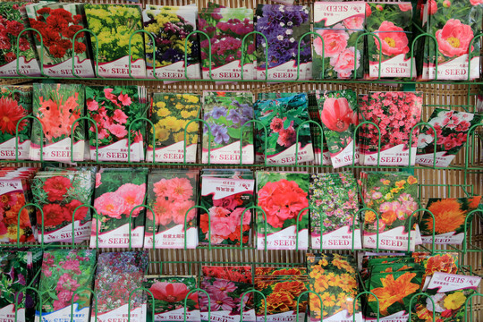 售卖中的花卉蔬菜种子