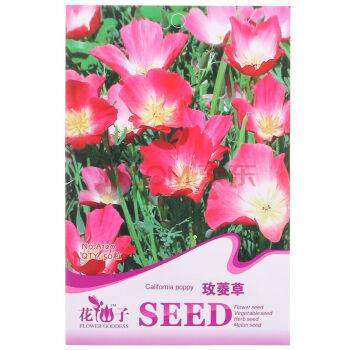 花景天 家庭种植花卉种子 家庭阳台 园艺休闲 花卉种子.玫菱草【图片 价格 品牌 报价】-京东