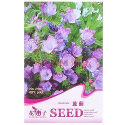 花仙子 蓝蓟 蓝色 花卉种子 家庭阳台/园艺休闲 50粒/袋现价:1.0(某东自营,手慢无)_没得比
