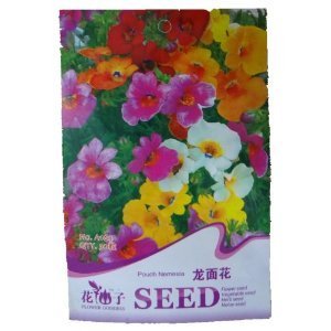 锦萱 花仙子系列 龙面花种子 花卉种子 花种 花卉(荷兰进口)家庭种植实用装 阳台盆栽花卉种子 庭院花种子-家居装修-亚马逊