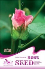 棉花种子选购与种植指南 花卉种子大全