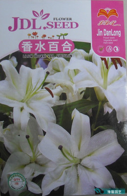 阳台盆栽新选择 香水百合种子的种植与养护指南