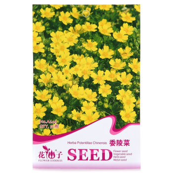 河清花卉 优质花种子与草坪种子推荐