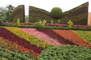 这才是母亲节打开的正确方式——用花卉种子传递爱与希望