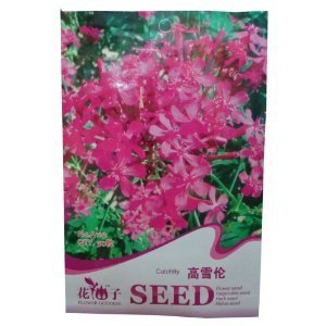 锦萱花仙子系列高雪轮种子 别样风情大蔓樱草，打造专属家庭花园