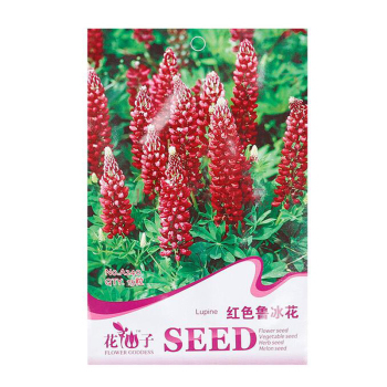 庭院绿化的活力之选 四季播种的彩包五叶地锦与红色鲁冰花