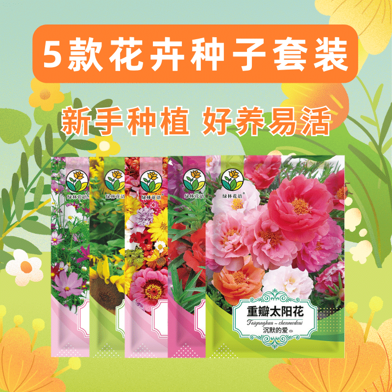 绿林花语5款花卉种子套装花籽组合格桑花太阳花凤仙花阳台盆.
